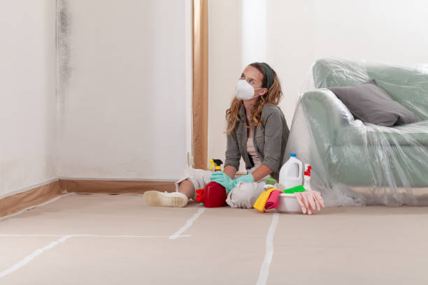 Reliable Commercial Mold Remediation contractor in North Bend, WA by WQB Mold Removal