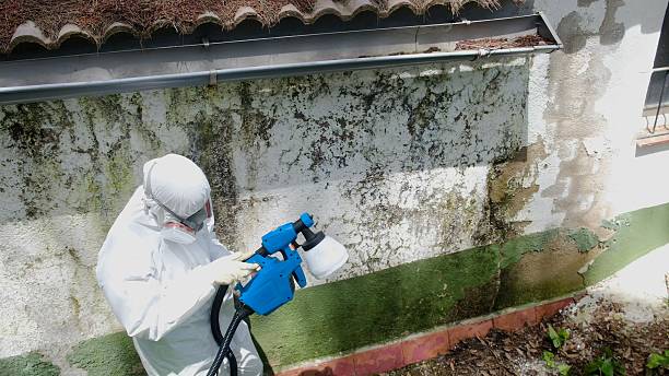 Top rated local Commercial Mold Remediation specialists in North Bend, WA